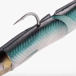 COMBO Leurres Souples Slug SLUGEELO 160 Ayu/Bleu 14 COMBO Leurres Souples Slug SLUGEELO 160 Ayu/Bleu -Pêche Promotion Boutique combo leurres souples slug slugeelo 160 ayubleu 3